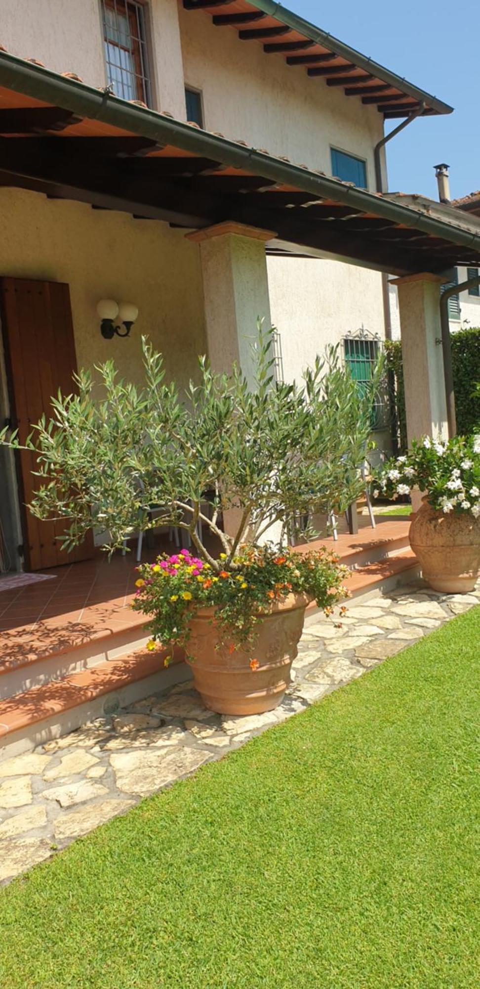Casa Vacanze Lulu Camaiore Exterior photo
